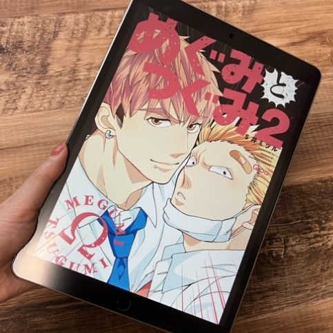 めぐみとつぐみ2巻のアイキャッチ画像