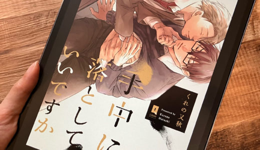 「手中に落としていいですか」1巻の感想＆ネタバレ　色気のある大人の恋愛BL！