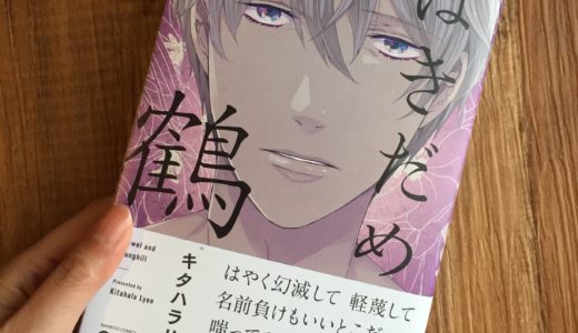 「はきだめと鶴」の感想＆ネタバレ　壮絶な過去がせつない！