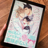 ケダモノアラシ2巻のアイキャッチ画像