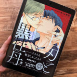 白刃と黒牡丹1巻のアイキャッチ画像