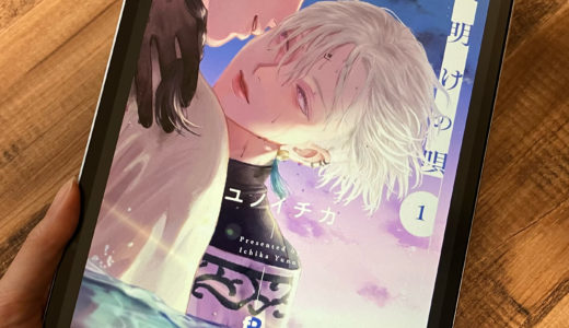 「夜明けの唄」1巻の感想＆ネタバレ　ファンタジーBL超大作！