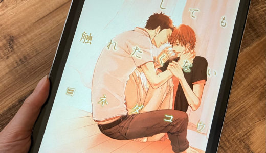 「どうしても触れたくない」の感想＆ネタバレ　お互いのトラウマがせつなすぎる！