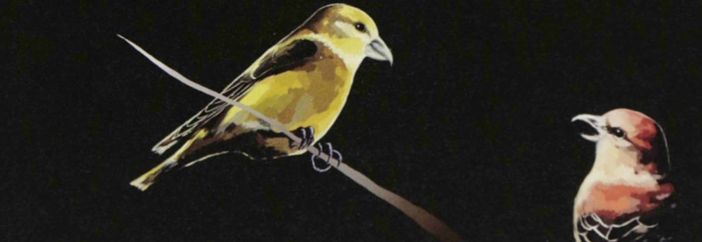 囀る鳥は羽ばたかない3巻の裏表紙の切り抜き画像