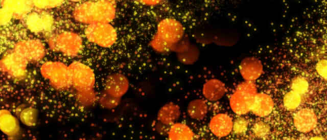 ゴールドとブラックのきらめく画像