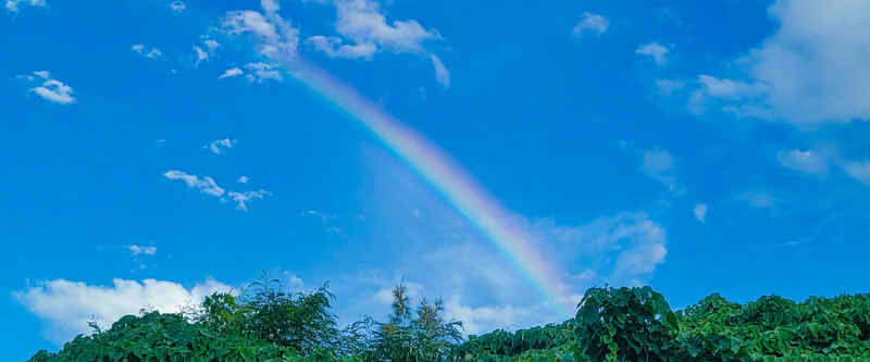 青空に虹がかかった画像