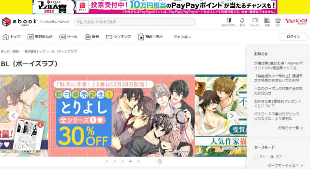 ebookのキャプチャー画像