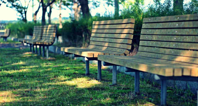 公園のベンチの画像