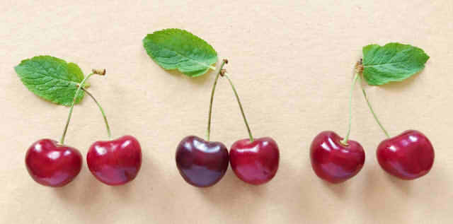 チェリーが並べられた画像