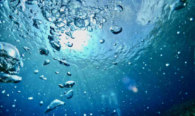 海の中から見た景色の画像