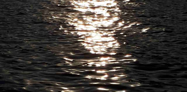 黒く光る海の画像