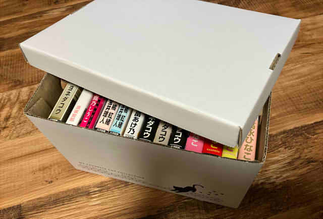 猫のイラスト付き収納ボックス