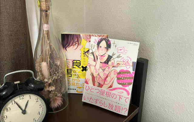 漫画本を飾っている画像