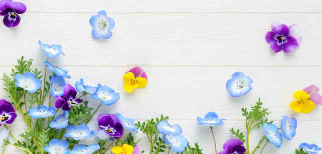 床に花が散りばめられた春らしい画像