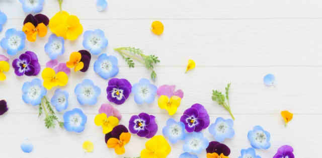 床に花が散りばめられている画像