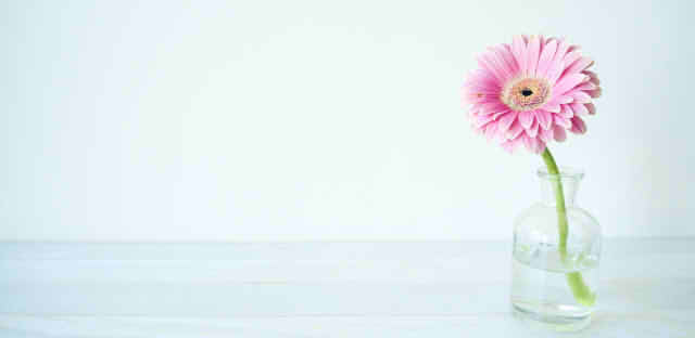 花が生けられてる画像