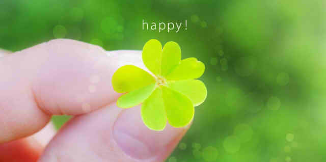 四つ葉のクローバーを手に持っている画像